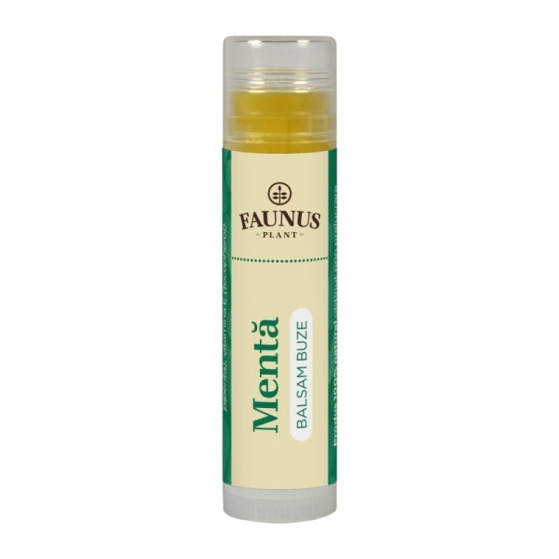 Balsam natural de buze cu vanilie si aloe vera Beauty Made Easy 6.8 g