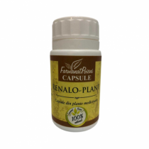 Capsule renalo - plant...