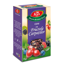 Ceai cu Fructele...
